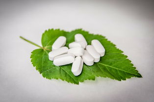 阜新白酒种类定制品牌解析