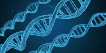 各个品牌生物测量仪对比，性能、准确度与实用性的全面剖析