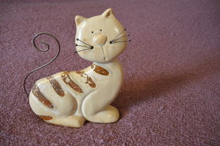 品牌猫猫玩具，选购、体验与口碑分享