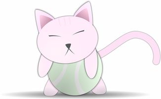 品牌猫猫玩具，选购、体验与口碑分享
