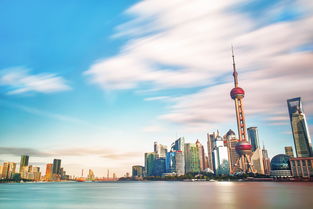 揭秘上海物流机器人品牌，智能时代下的物流新势力