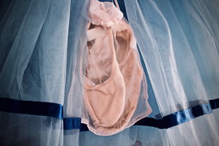 女士专用舞蹈衣服品牌—优雅与专业兼备的选择