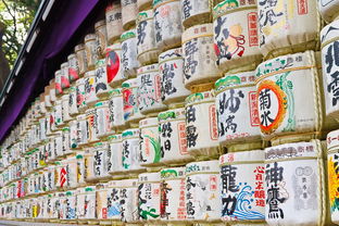 日本奶茶店的冰淇淋品牌，探究其魅力与成功之道