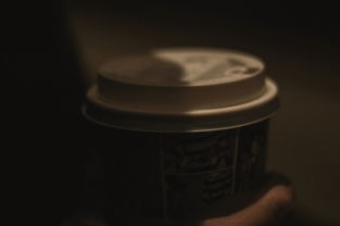 探索欧美水杯品牌，那些让你爱不释手的时尚之选
