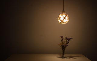灯具选购指南，照亮你的家居生活，从知名品牌开始