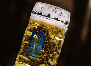 小惠品牌水杯，时尚健康，陪你度过美好时光