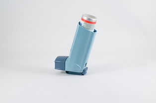 揭秘母婴空气净化器品牌，守护宝宝呼吸健康的秘密武器