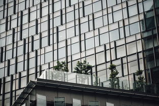 东莞卖酒店厨房瓷砖品牌市场分析