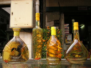 全球红酒品牌大盘点，西餐搭配指南