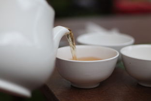 海口毛峰茶，茶叶品牌的独特魅力与传承价值