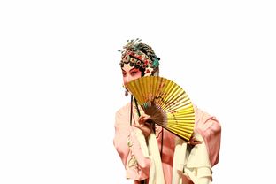 探索汉服之美，时尚与文化的完美融合