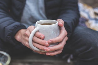 一探究竟，nonoo水杯—揭秘这个环保生活品牌的魅力所在