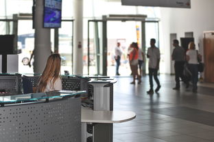 进口各大品牌挖掘机，市场现状、选购指南与实用案例