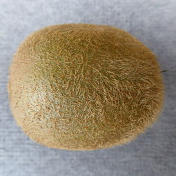 除尘滤布品牌排名榜