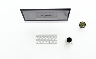 尿酸测量仪哪个品牌更靠谱？实测数据告诉你答案