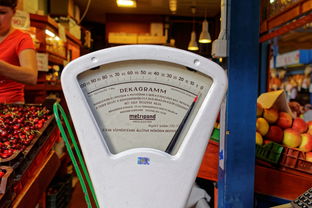 水平测量仪产品的品牌有哪些？一起来看看吧！