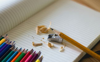 学生铅笔袋品牌排行，选购指南与热门品牌解析
