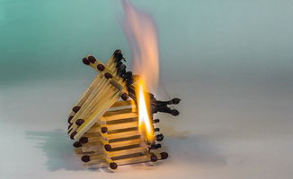 超大多功能铲子品牌大盘点，热门品牌排名与案例解析