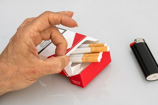 最差的卫生纸品牌有哪些？深度解析市场上的不良卫生纸品牌