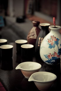 揭秘菊花水杯品牌—养生生活新选择