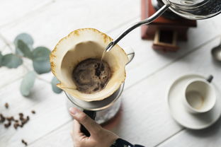 商用奶茶机品牌静安区大盘点