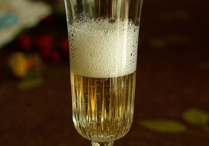 探索西餐中的泡沫酒—精选推荐与案例分享