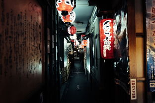 品牌汉服正品店铺，追寻古典韵味，体验文化传承