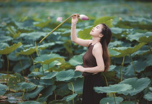 探索越南旗袍的时尚魅力