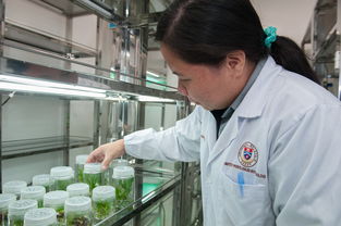 揭秘卫生巾市场，各大品牌卫生巾检测大比拼！