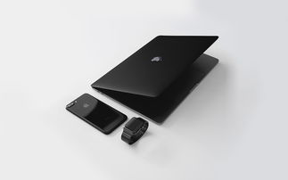 日本手机市场品牌概览