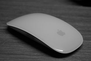 盘点日常办公必备—那些让你工作更轻松的无线鼠标品牌