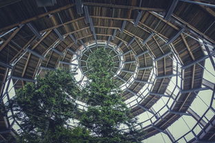 绍兴地区除尘设备品牌推荐与案例分析