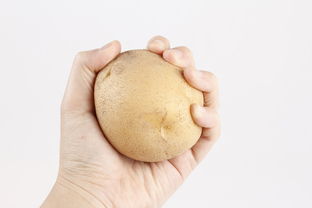 唐山大人如何挑选尿不湿品牌