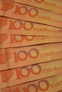 中国板材10大品牌排行