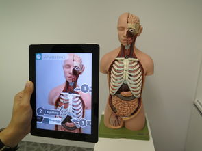 揭秘3D测量仪品牌排名，行业内的佼佼者与成功案例解析