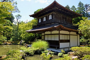 揭秘日本住宅空气净化器品牌，守护您家的清新呼吸