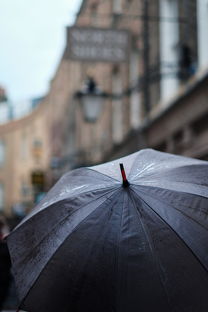 自带雨伞的儿童车品牌，为孩子遮风挡雨，安全出行无忧