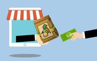 玩具品牌定义，从概念到实例的深度解析