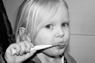 挪威进口幼童牙刷品牌，呵护宝宝口腔健康的贴心选择
