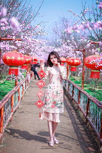 探索传统之美—秋冬新款品牌旗袍精选