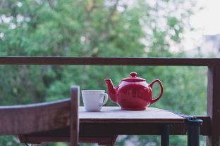 茶叶骆驼品牌图片介绍，带你走进茶与骆驼的奇妙世界