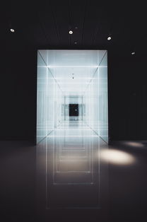 国内手机品牌的未来展望
