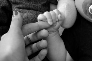 苏打棉尿不湿—婴儿护理的革新者